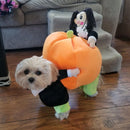 Dog Pumpkin Halloween Costume