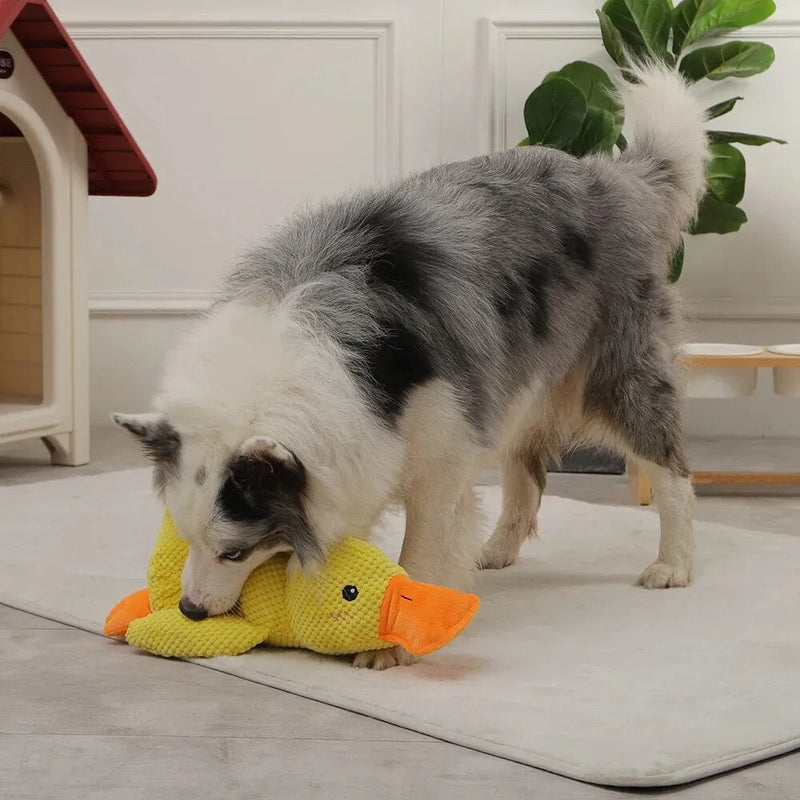 Calming Duck Dog Toy