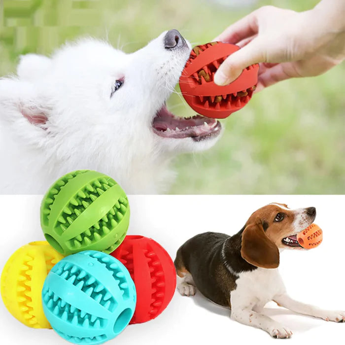 Doggie Treat Chew Ball