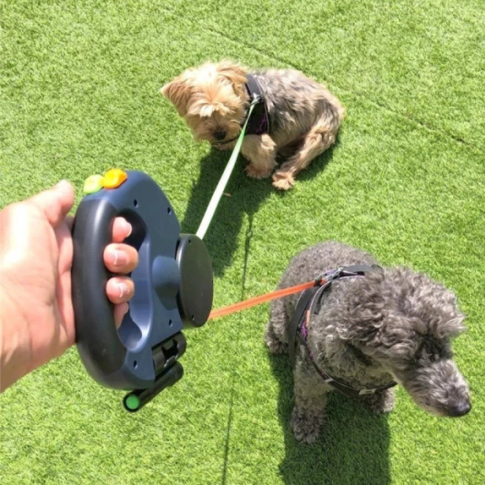 Double TangleFree Dog Leash with Light, Waste Bag Holder & 360° Swivel