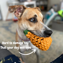 Pineapple Treat Dispensing Dog Toy for Aggressive Chewer