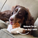 Pineapple Treat Dispensing Dog Toy for Aggressive Chewer