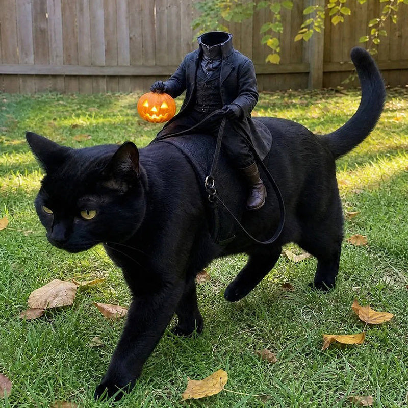 The  Headless Rider Pet Halloween Costume