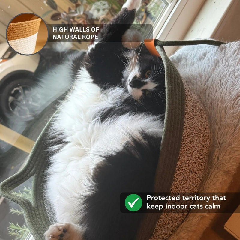 Cat lying on a textured surface with text overlay about natural rope walls and cat calmness.