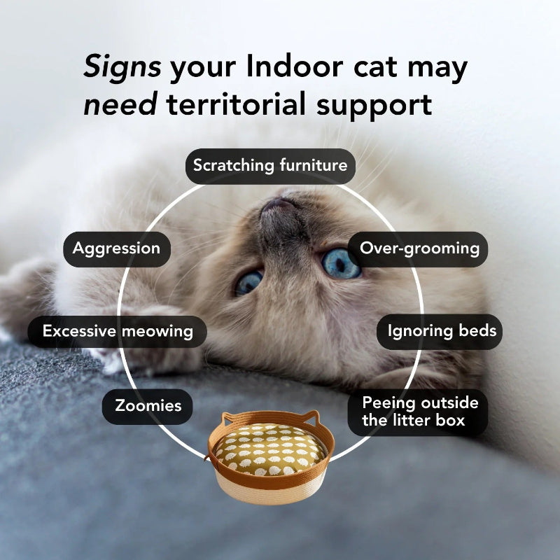 Diagram of signs an indoor cat may need territorial support with a cat and litter box illustration.