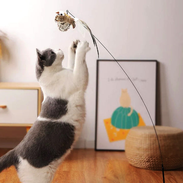 Interactive Bird Simulation Cat Toy Set