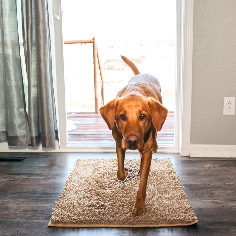 Absorbent Dog DoorMat