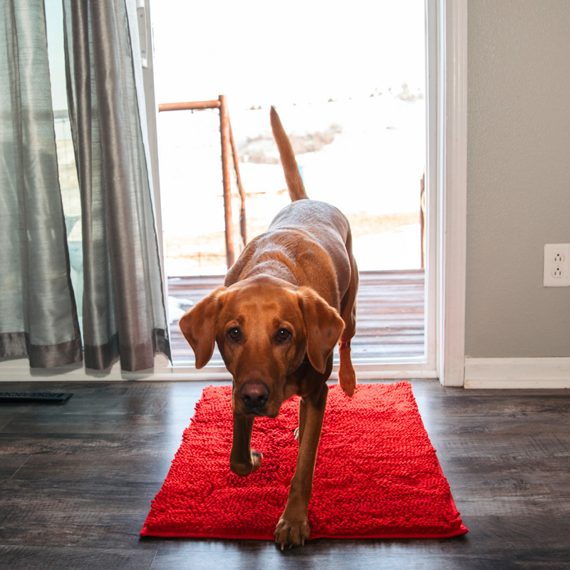 Absorbent Dog Mat