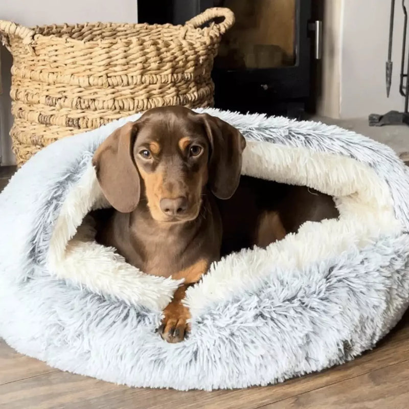 Cozycave Premium Pet Bed