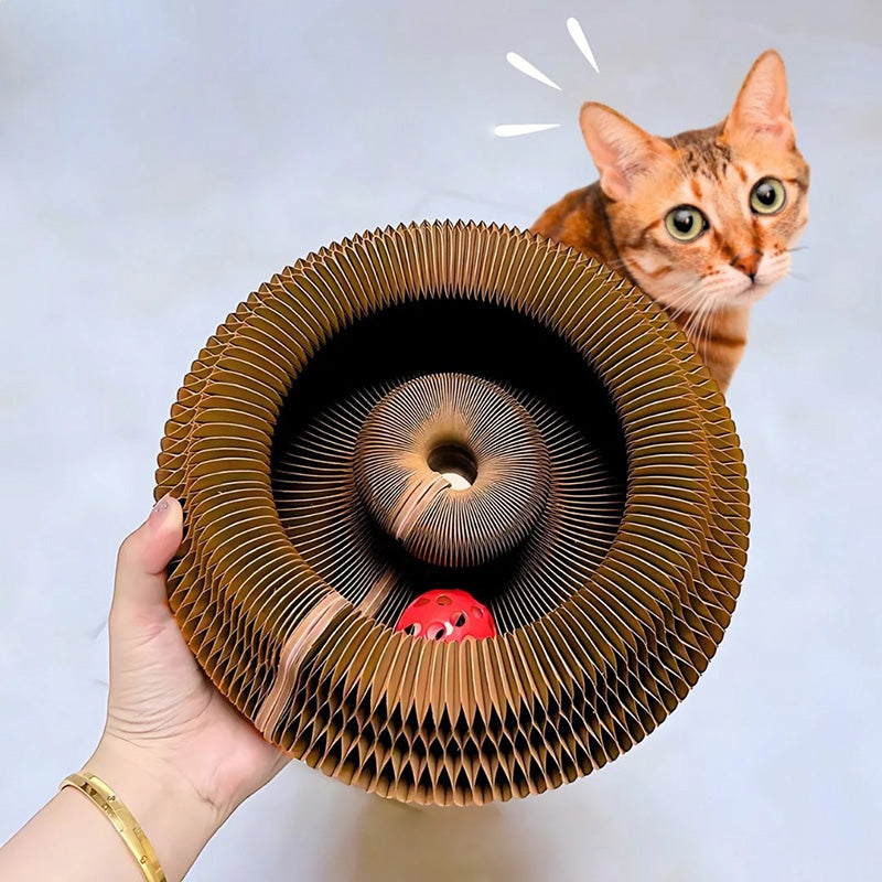 Kitty Kurlz Accordion Magic Organ Cat Scratcher Toys
