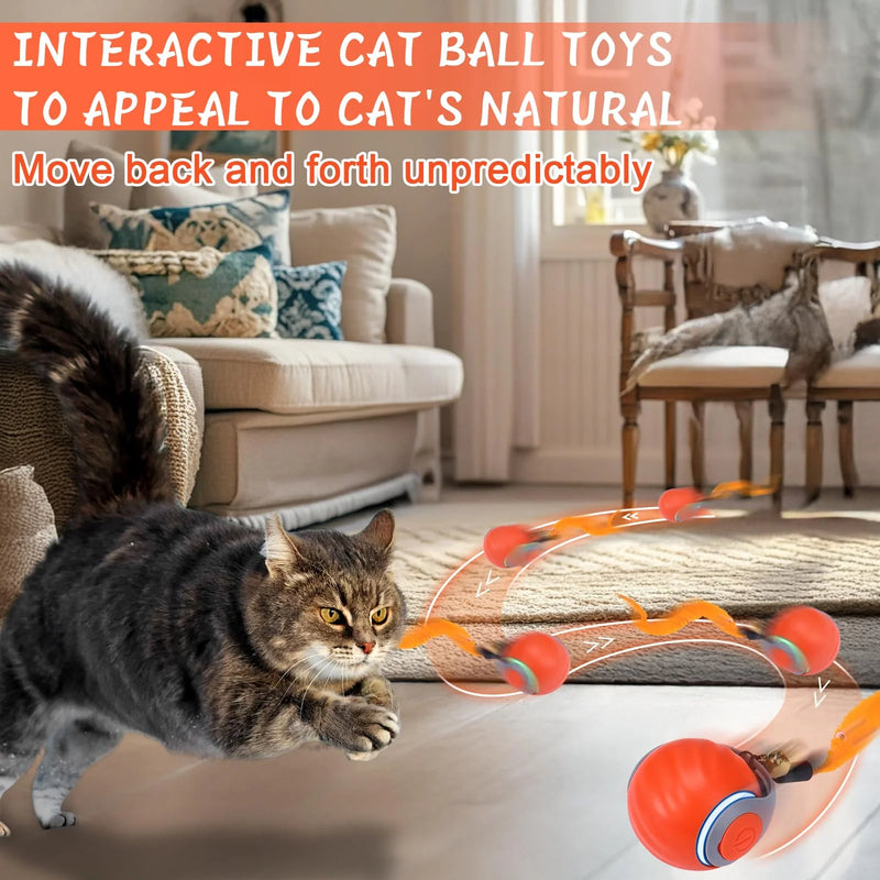 2025 Upgraded Interactive Electric Rolling Ball with Teasing Tail