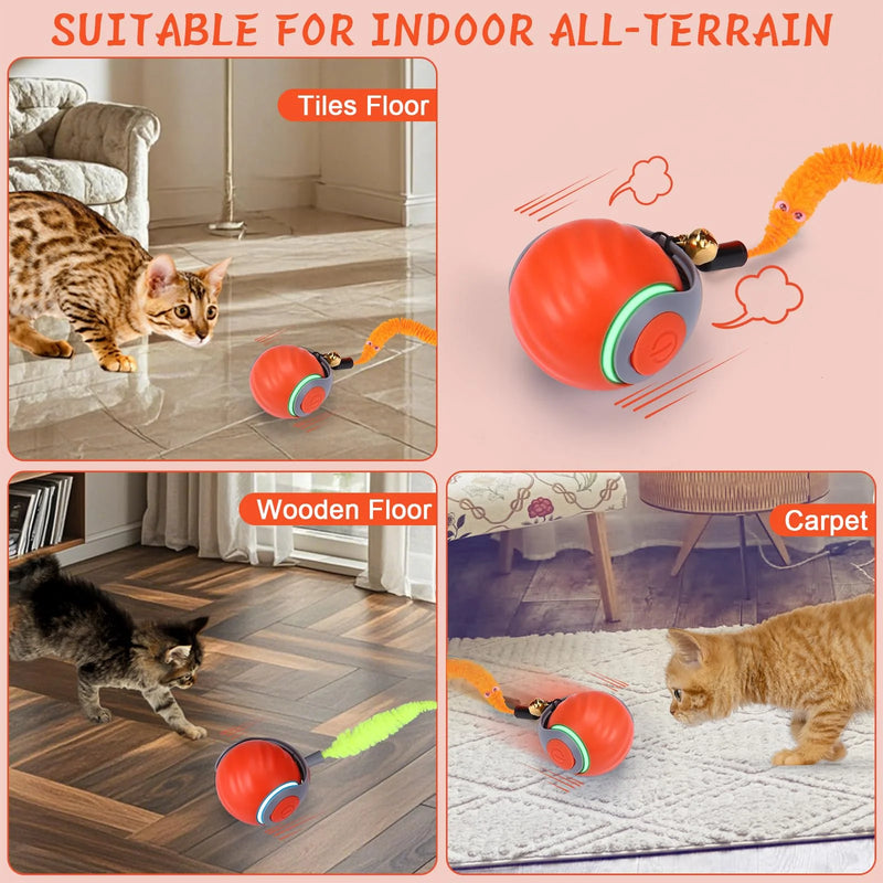 2025 Upgraded Interactive Electric Rolling Ball with Teasing Tail