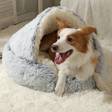 Cozycave Premium Pet Bed