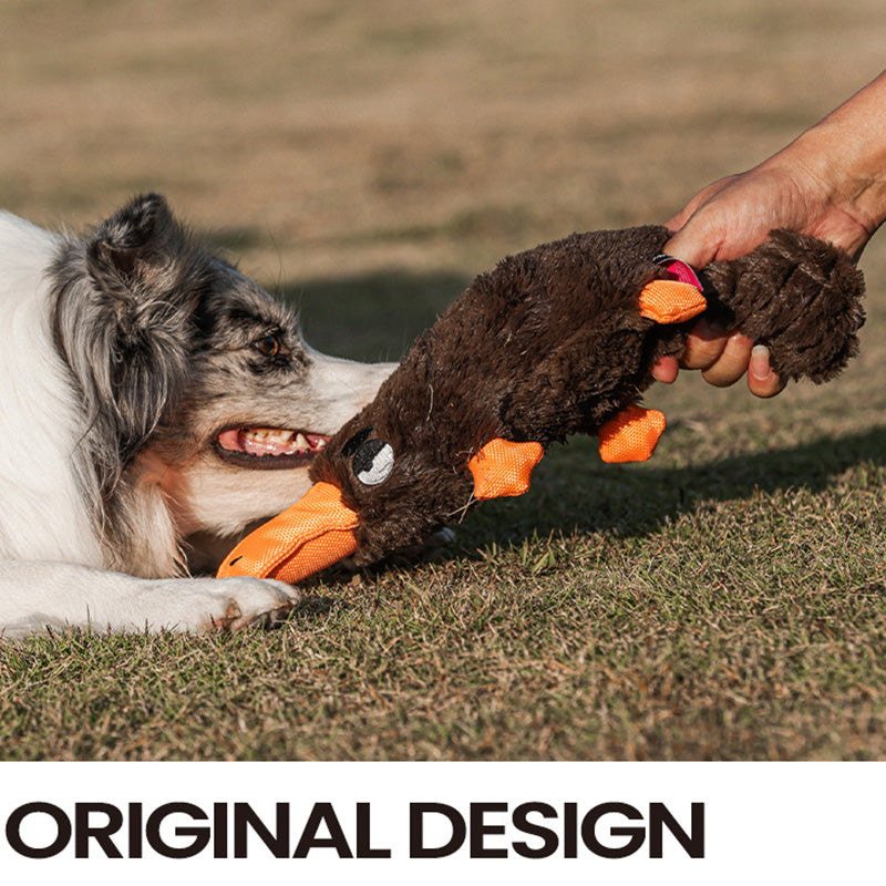 Indestructible & Interactive Bear Dog Toys For Heavy Chewers