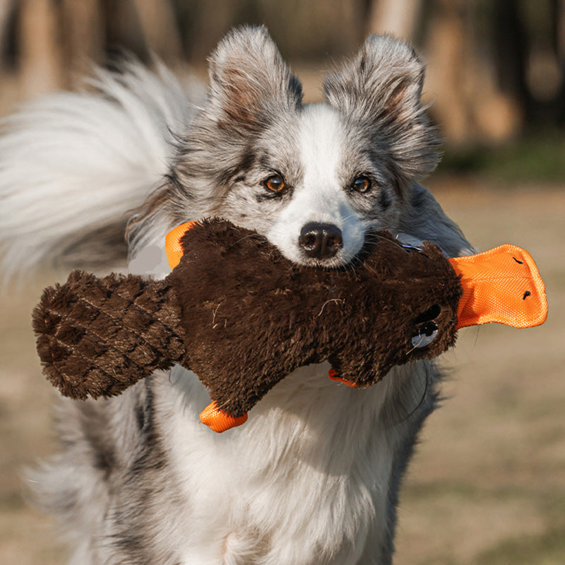 Indestructible & Interactive Bear Dog Toys For Heavy Chewers