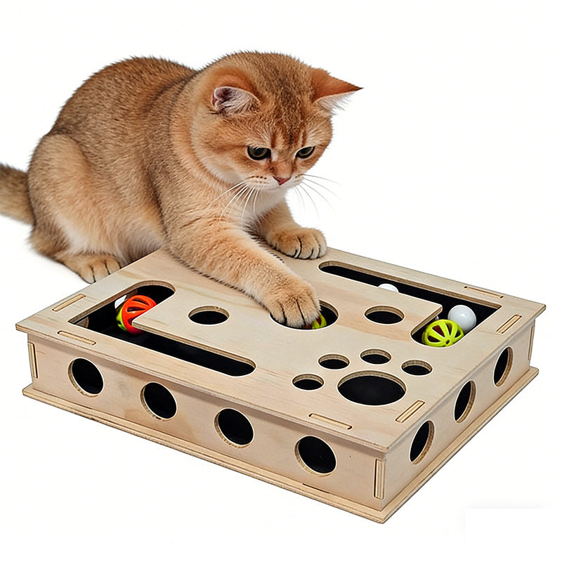 Cat Scratch Puzzle Enrichment Box - Nail Care Kit