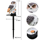 Solar Owl Garden Light with Decorative Stake