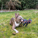 Indestructible & Interactive Bear Dog Toys For Heavy Chewers