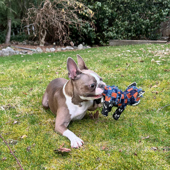 MightyBear 3.0 - Indestructible & Interactive Bear Dog Toys For Heavy Chewers