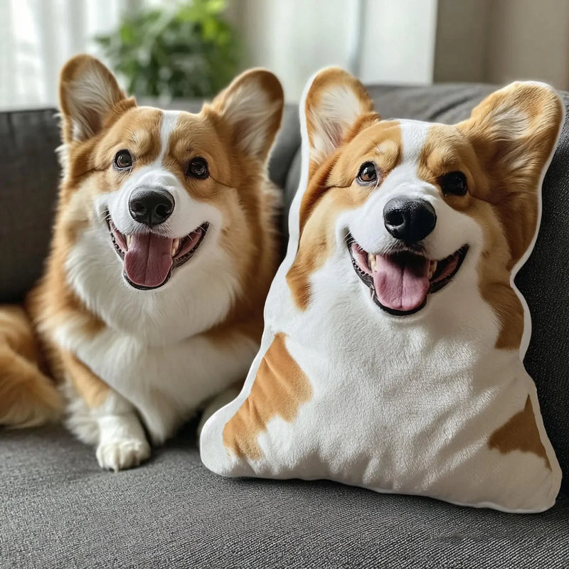 Corgi dog and a pillow shaped like a corgi on a couch.