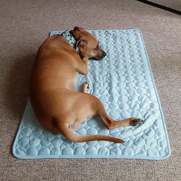 Cooling Mat for Dogs