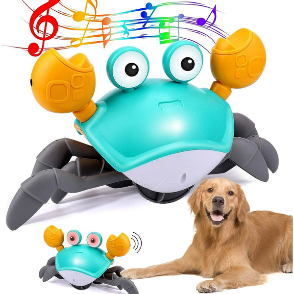 Crawling Crab Interactive Dog Toy