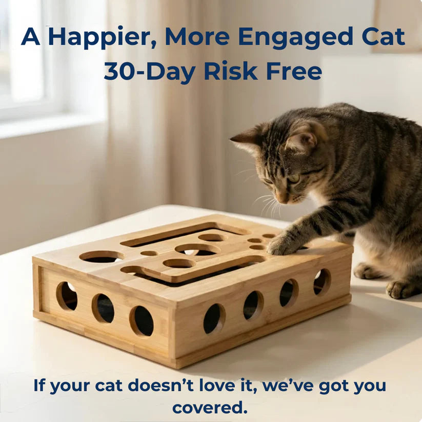 Cat Scratch Puzzle Enrichment Box - Nail Care Kit