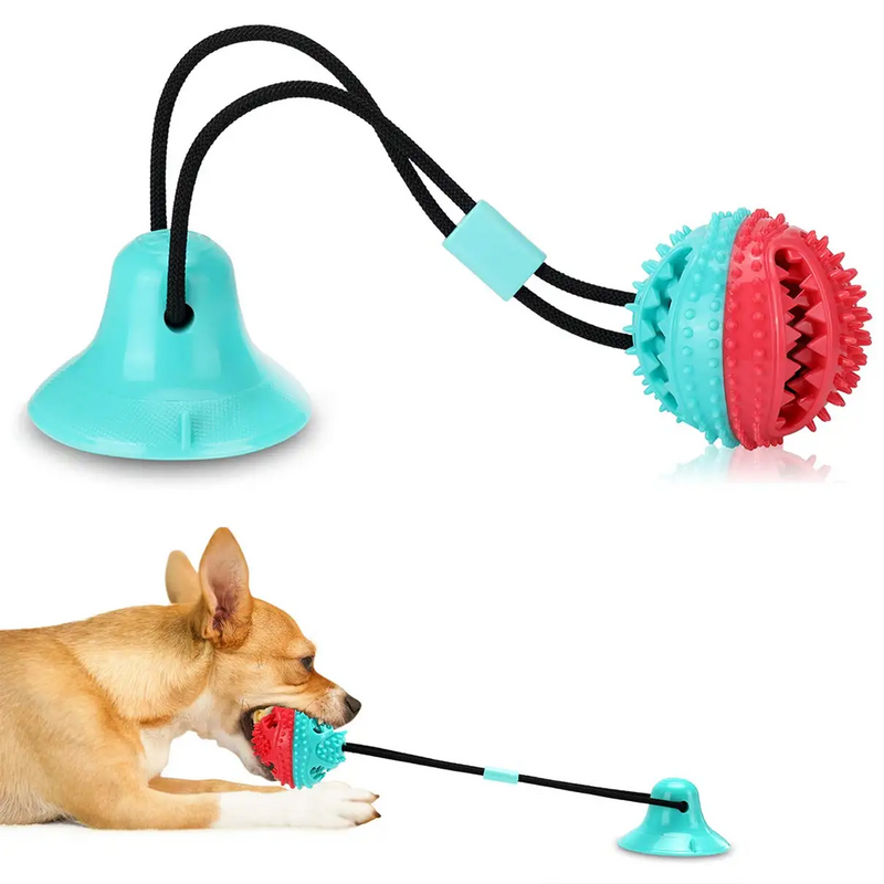 Suction Cup Dog Toys