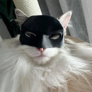 Bat Cat Avenger Mask for Pets