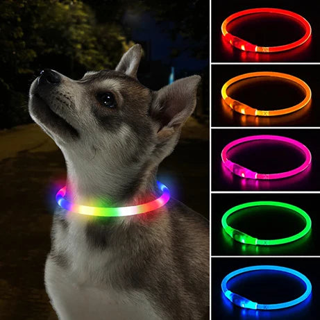 Light Up Dog Collars