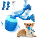 Smart Motion Pet Ball V3 - Fur Buddy Friends