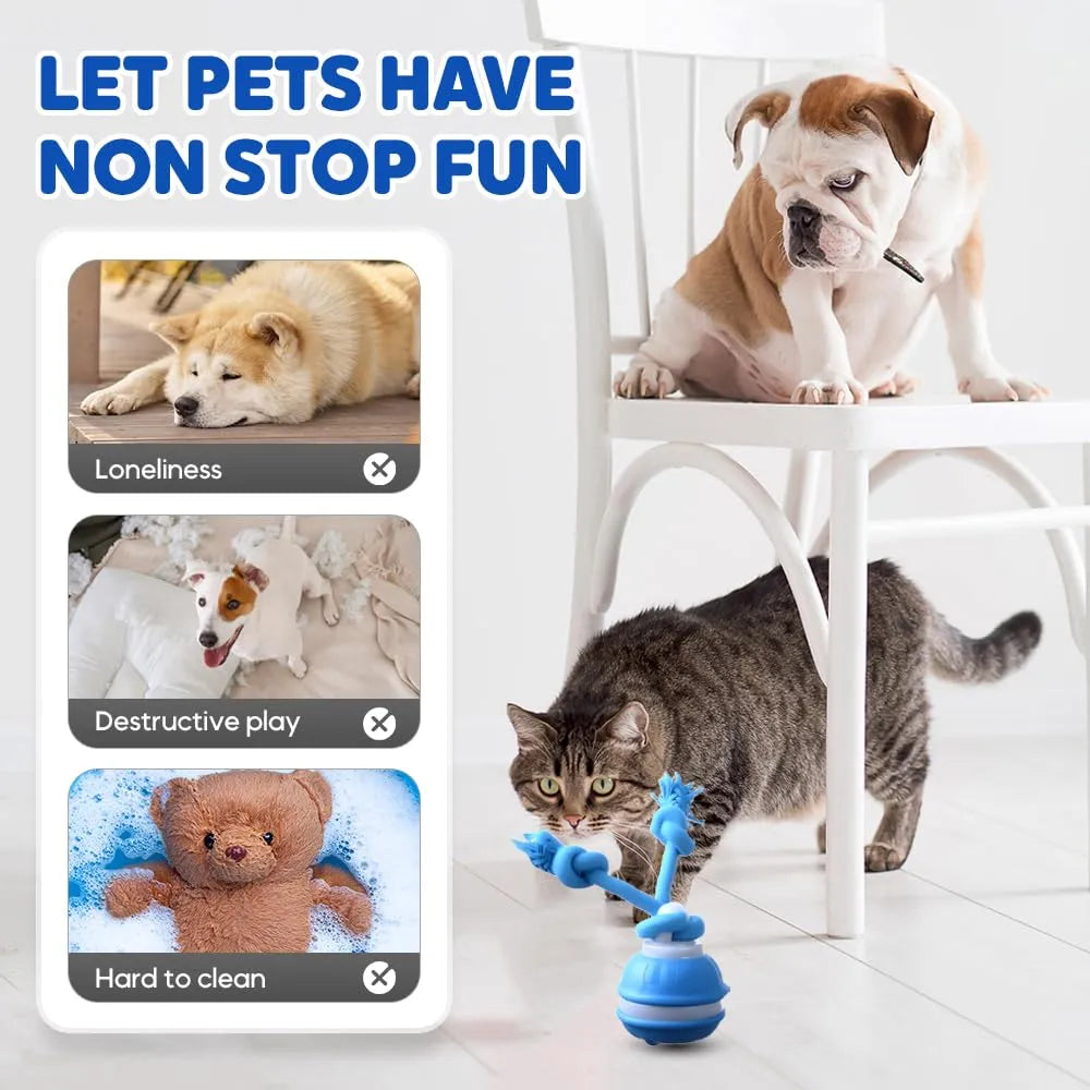 Interactive Smart Rolling Pet Ball