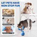 Smart Touch-Activated Automatic Rolling Ball For Pet