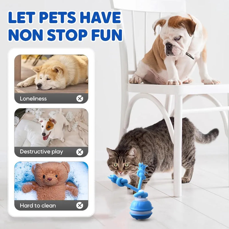 Smart Touch-Activated Automatic Rolling Ball For Pet