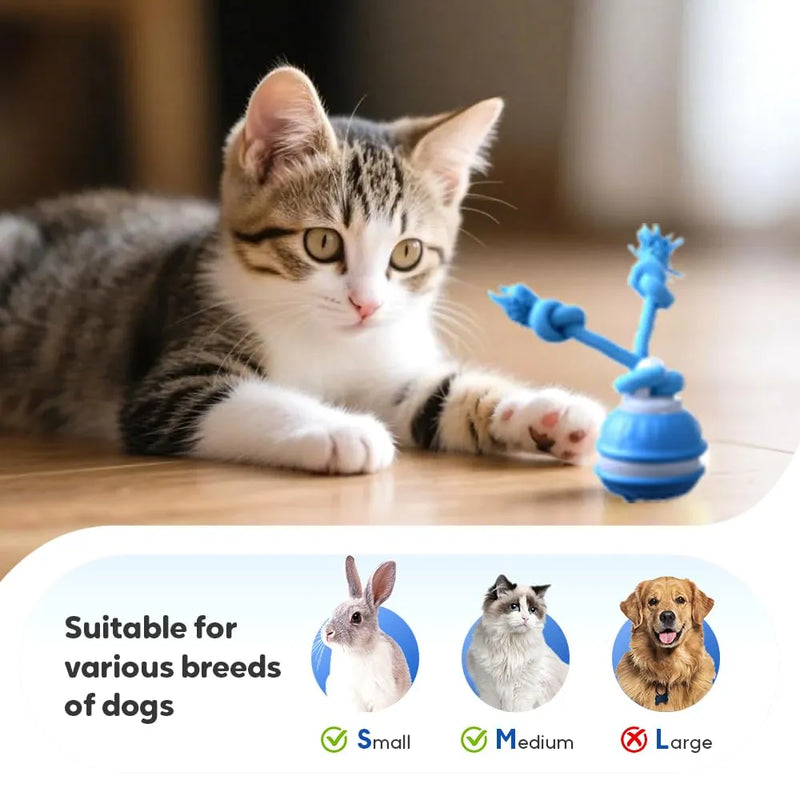 Smart Touch-Activated Automatic Rolling Ball For Pet