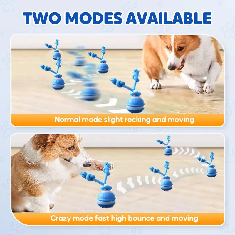 Smart Touch-Activated Automatic Rolling Ball For Pet