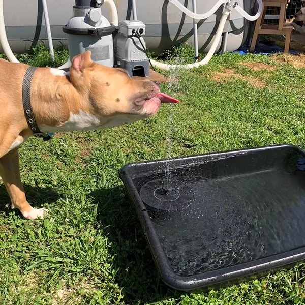 Bird Bath with Solar Fountain Set