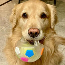 The Mellow Dog Calming Ball with Handle