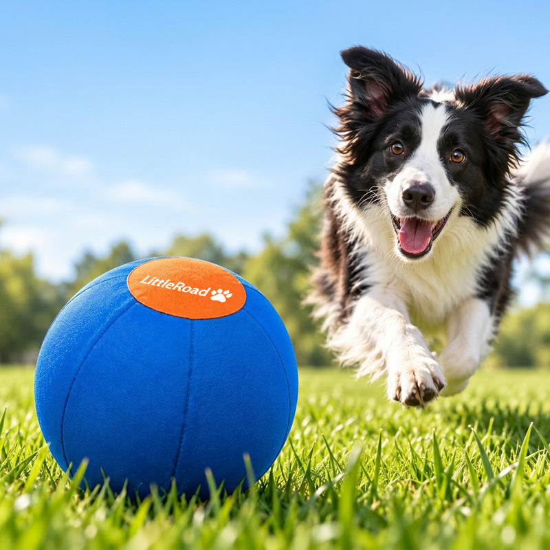 2026 Upgraded Herding Ball for Dogs|The Ultimate High-Energy Exercise Toy