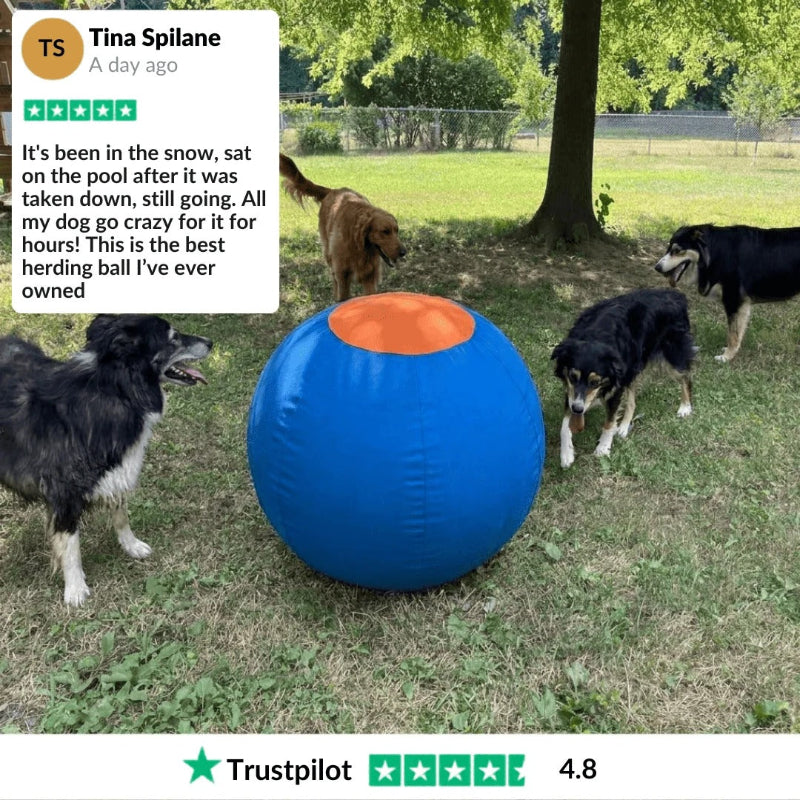 A large blue dog ball with an orange top sits on grass in an outdoor yard, with several dogs around it. A customer review card for Tina Spilane and a Trustpilot rating banner are overlaid on the image.