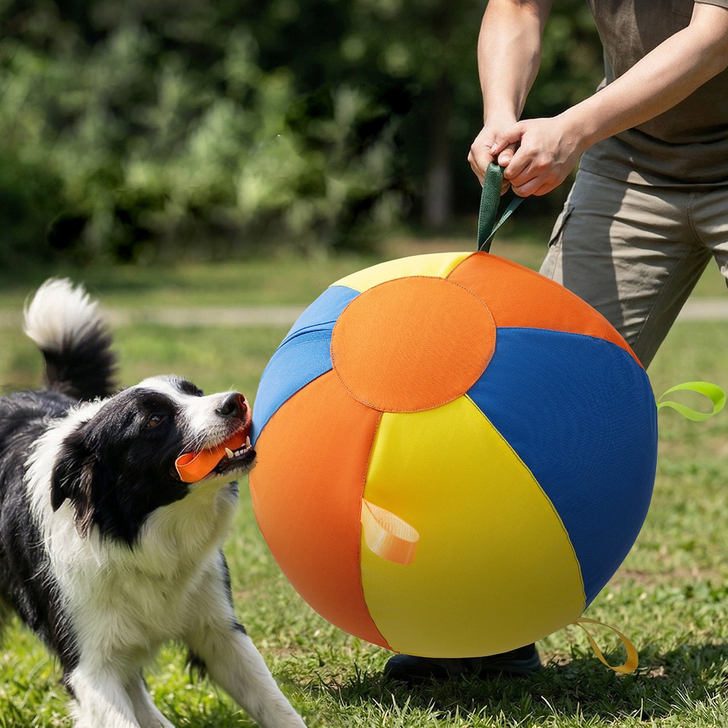 The Pro-Drive Herding Ball: Give Your Dog a Job (So They Don’t Hire Themselves)

Does your dog have more energy than a caffeine-fueled toddler? For herding breeds like Australian Shepherds, Border Collies, and Cattle Dogs, "play" isn't just about fun—it's about work. Without a task, that herding instinct often turns toward chasing cars, nipping heels, or "redecorating" your sofa.

The Pro-Drive Herding Ball is the ultimate outlet for high-drive dogs. Designed to be pushed, chased, and "mustered," it channel