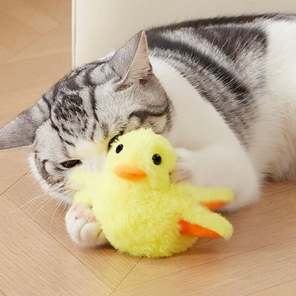 Flapping Duck Cat Toys