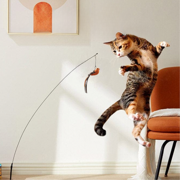 Interactive Bird Simulation Cat Toy Set