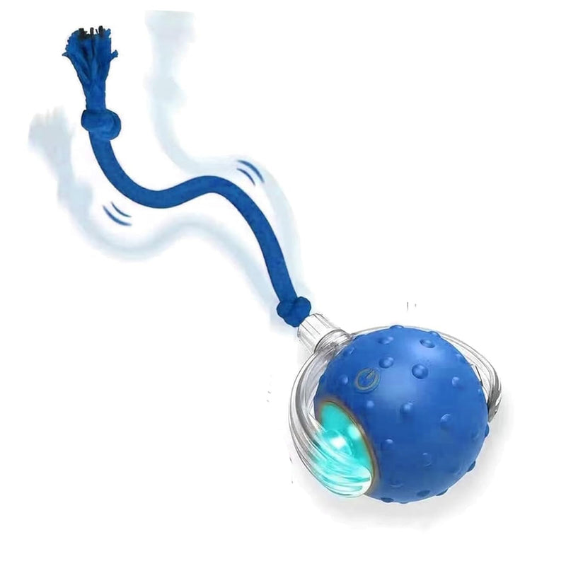 Tiny Fetch Motion Dog Toy