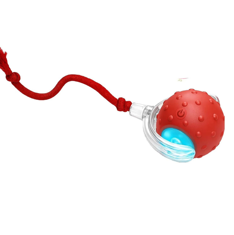 Tiny Fetch Motion Dog Toy