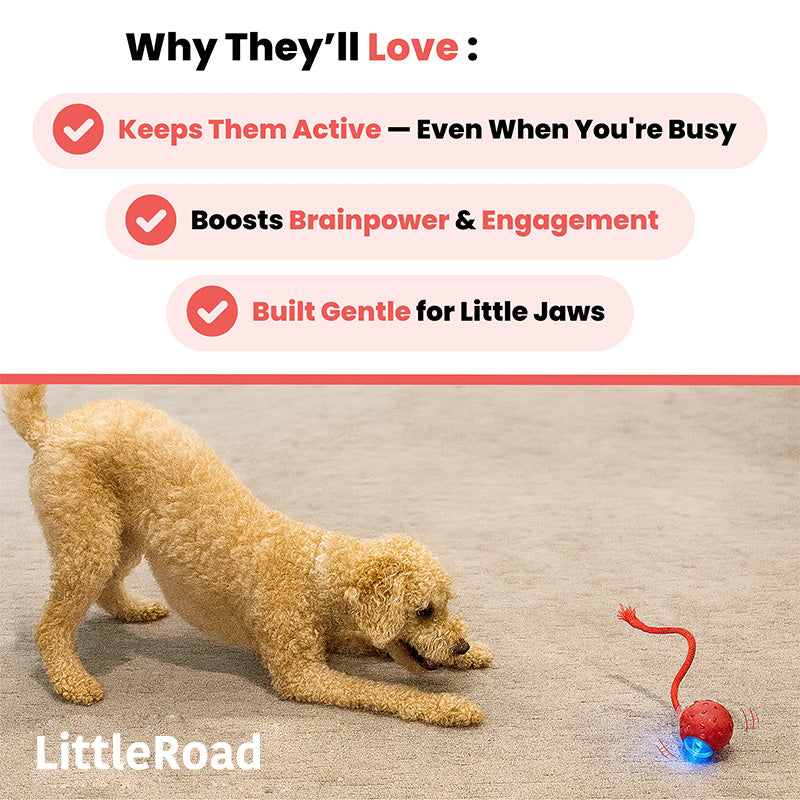 Tiny Fetch Motion Pet Toy