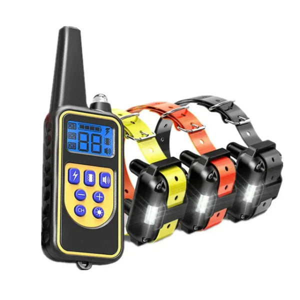 Dog training collar set with remote control on a white background