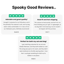 Bat Wings Dog Halloween Costume