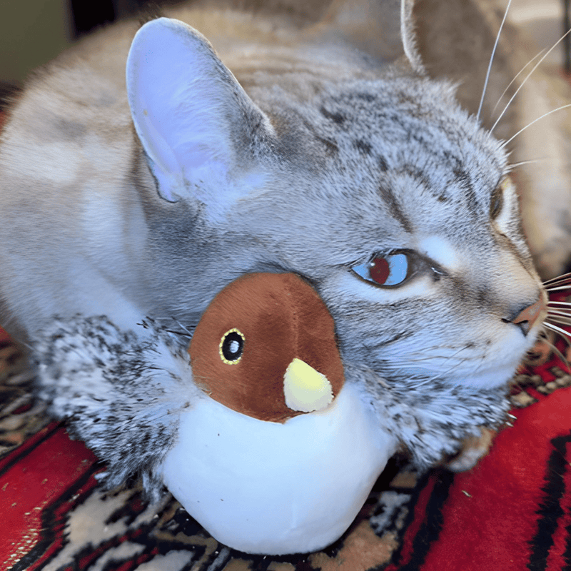 Interactive Flapping Bird Cat Toys with Chirping