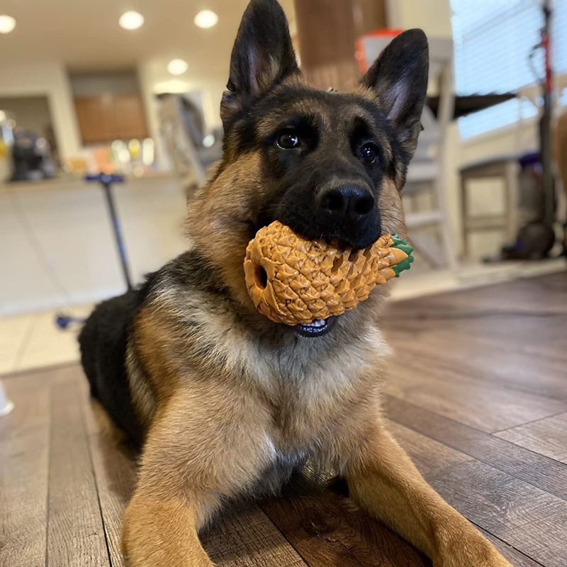 Pineapple Dog Chew Toys With Treat Fill for Aggressive Chewer